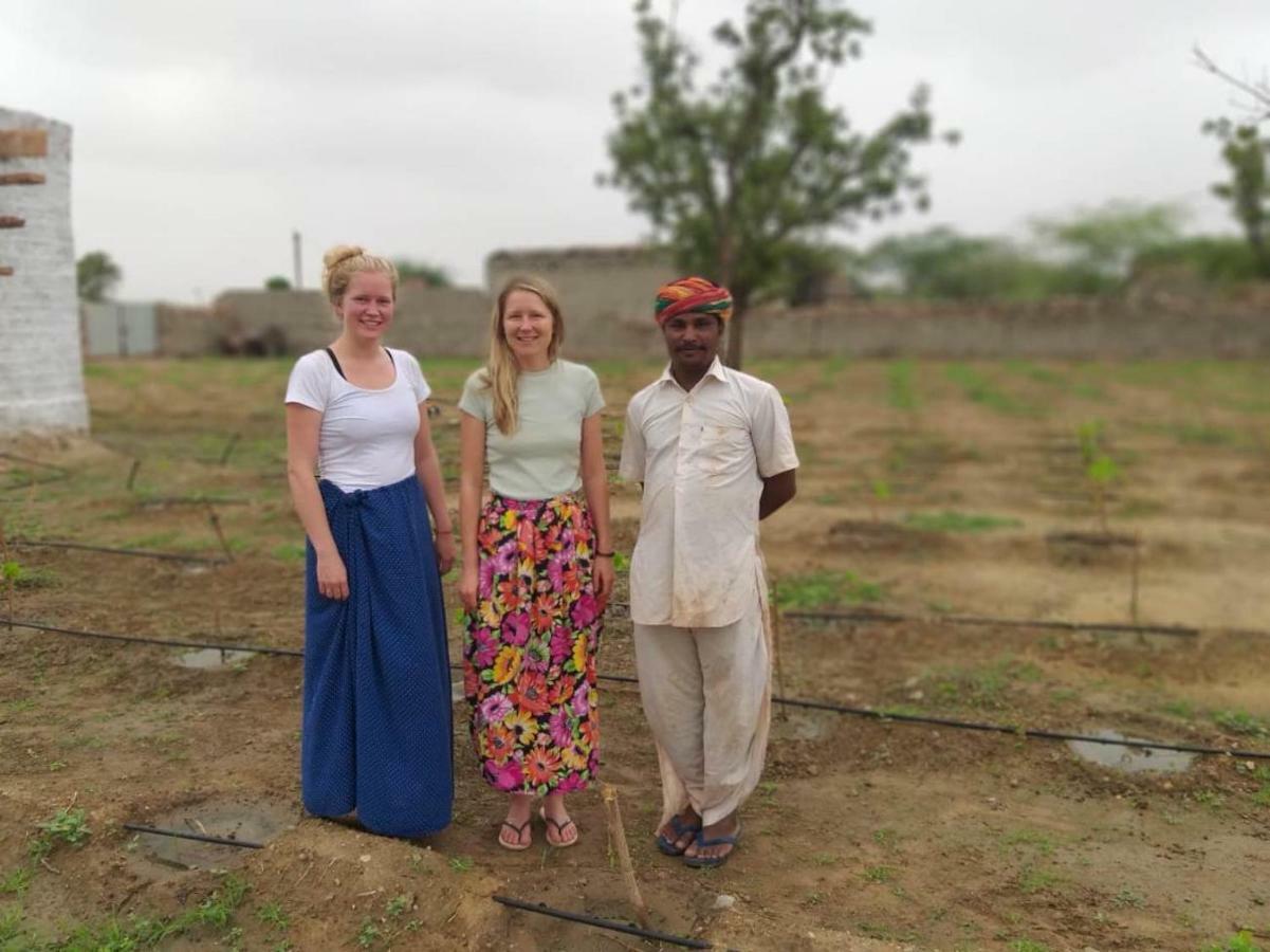 Bishnoi Village Home Stay ジョードプル エクステリア 写真
